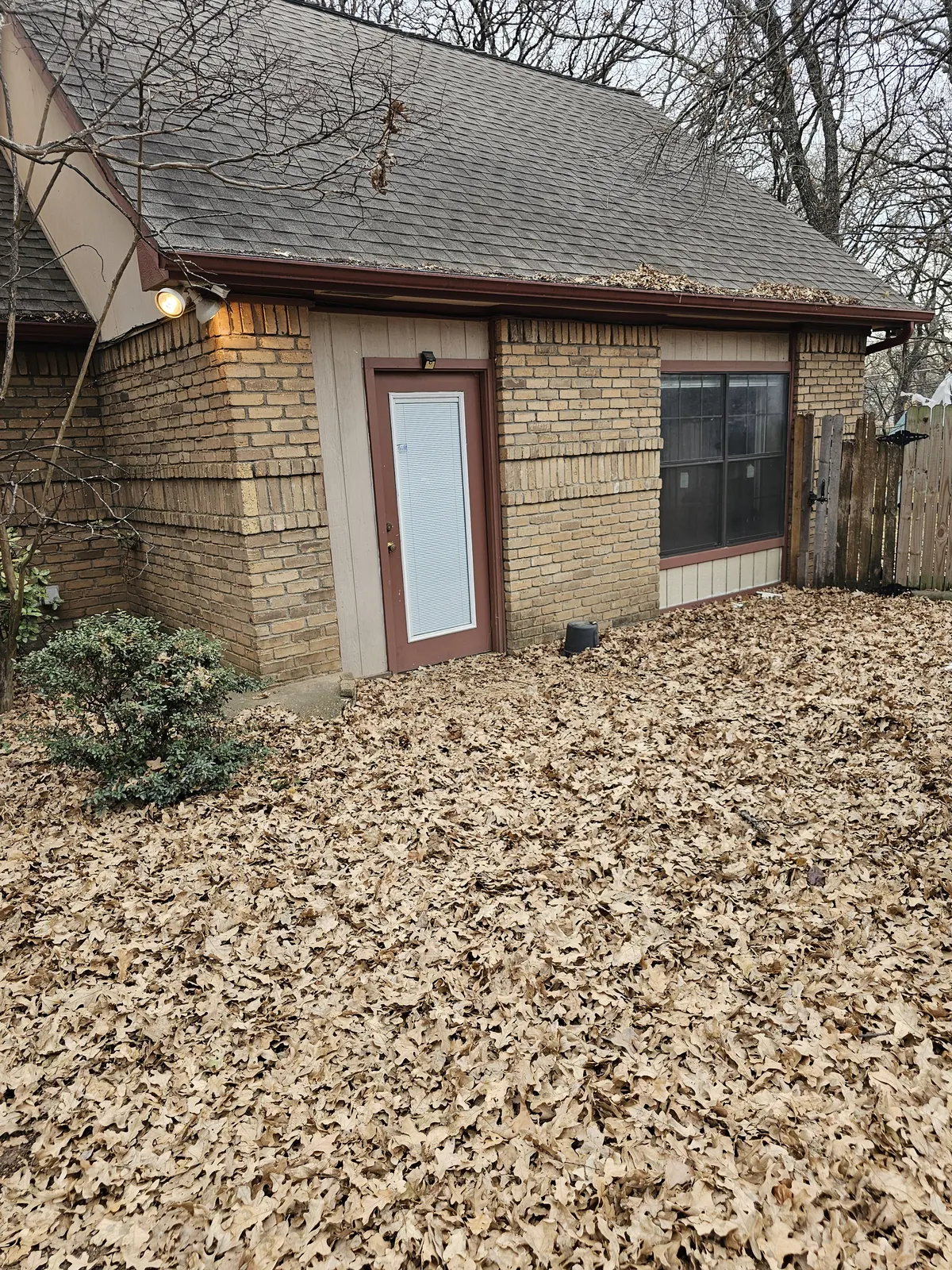 Backyard cleared after junk removal
