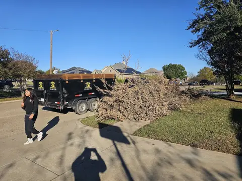 Brush pile ready for removal